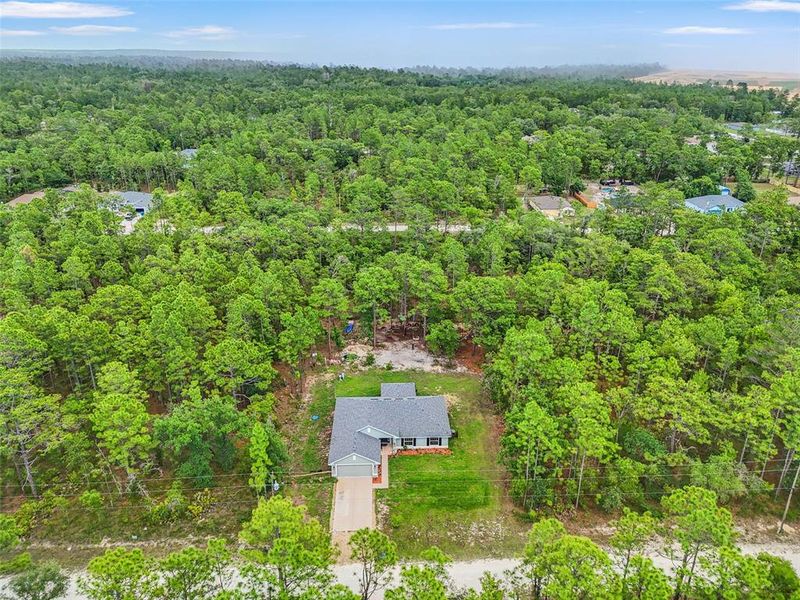Natural landscape and outdoor views near Royal Highlands in Brooksville (Image 44).