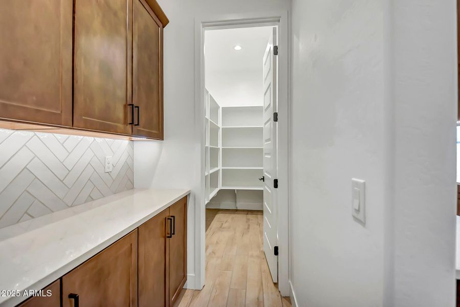 Palo Verde Lot 302 (26)