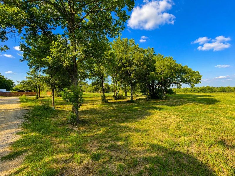 Natural landscape and outdoor views near  in Mexia (Image 26).