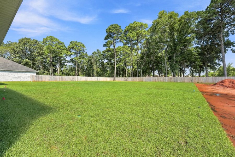 2828 blackbird ct-5