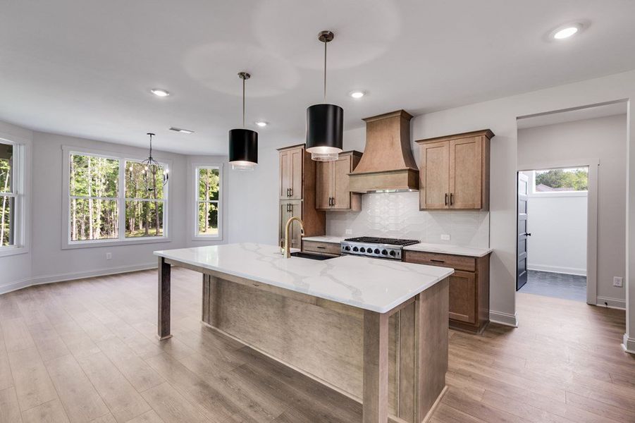 Furnished interior view inside a new home in Harmon Springs, Carrollton (Image 16).