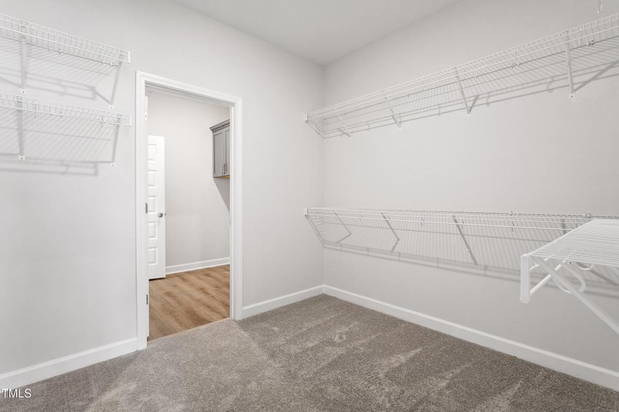 Primary Closet