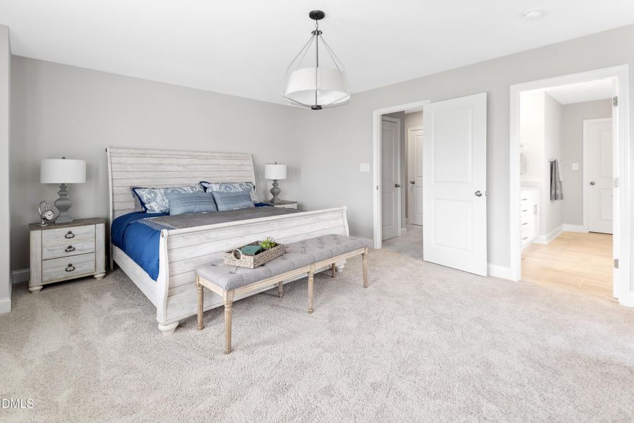 Nelson Representation Only4 Nelson Representation Only4