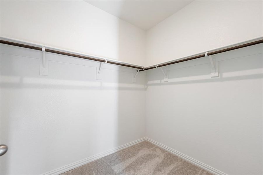 Spacious closet with carpet