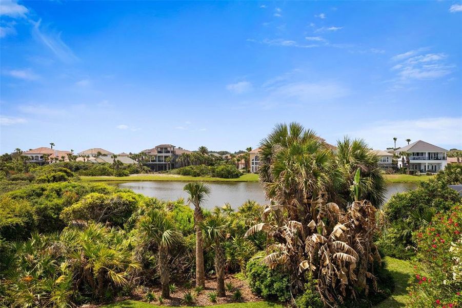 Natural landscape and outdoor views near  in Palm Coast (Image 68).