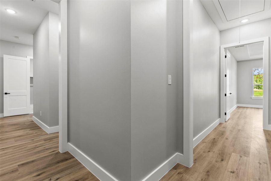 Lots of natural light throughout! Lots of natural light throughout!