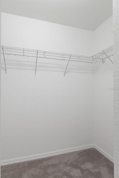 Spacious, unfurnished interior of a new home in , Brooksville (Image 20).