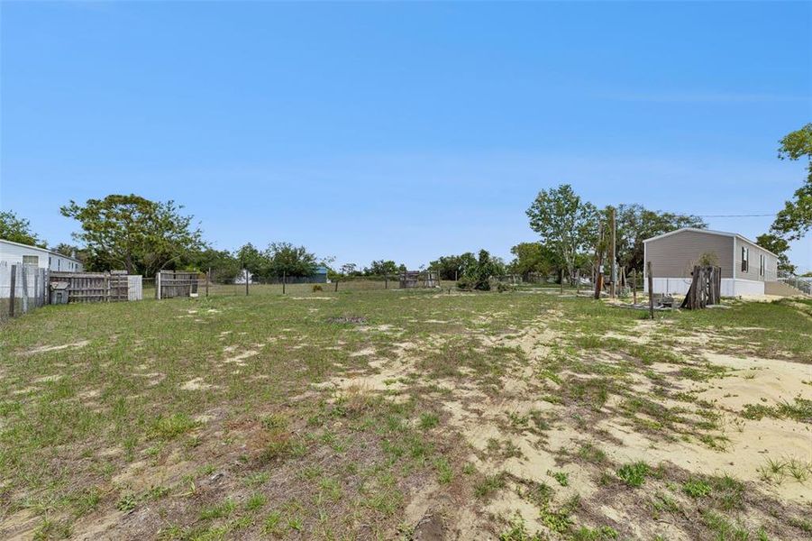 Natural landscape and outdoor views near  in Lake Wales (Image 26).