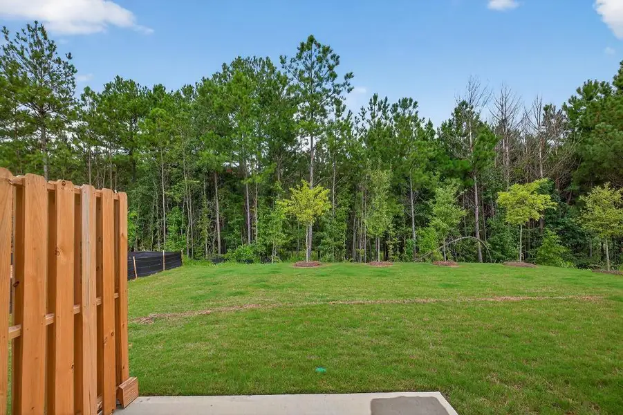 Exterior details and patio area of a home in Fernhurst, McDonough (Image 20).