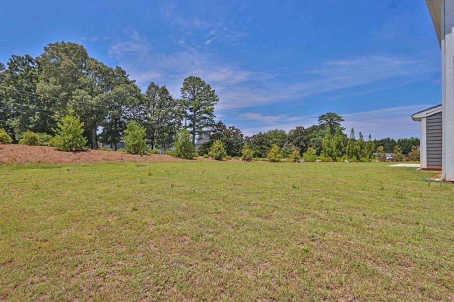 Exterior details and patio area of a home in Sweetbay Farm, Lawrenceville (Image 21).
