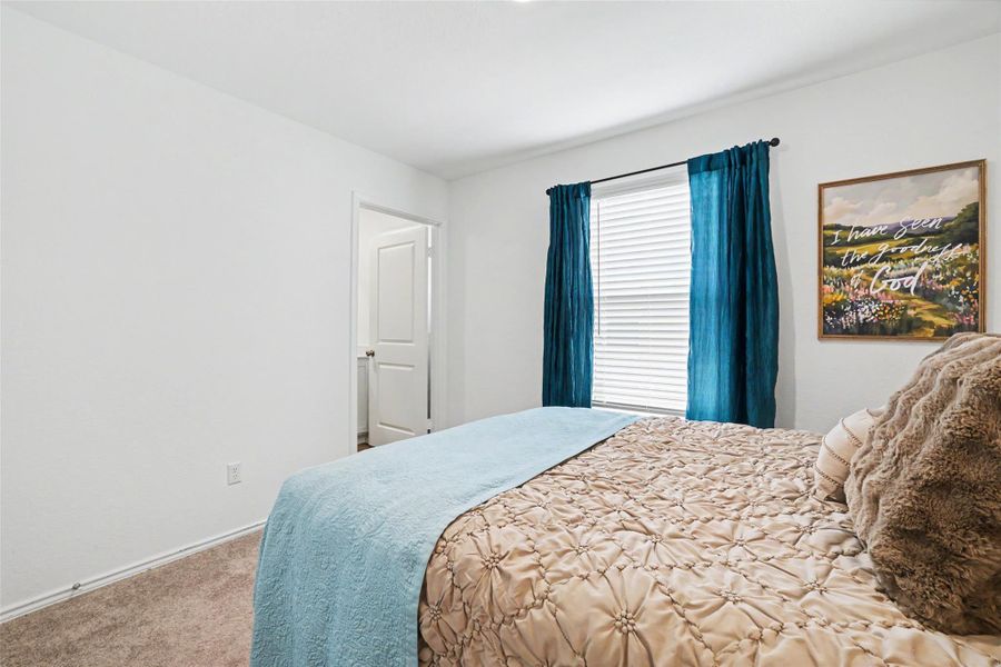 Carpeted flooring paired with neutral-toned walls