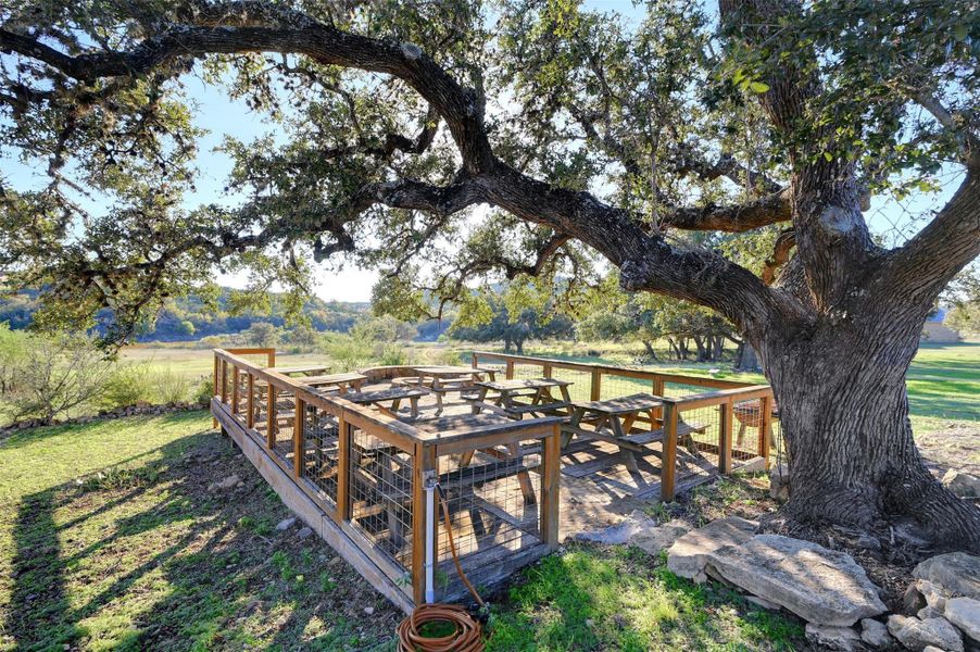 Natural landscape and outdoor views near  in Blanco (Image 22).