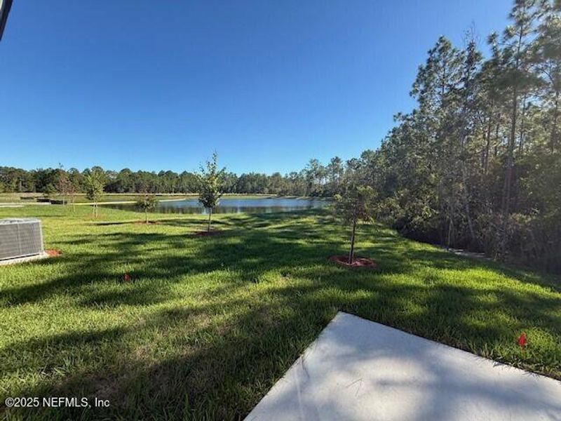 Natural landscape and outdoor views near Grand Reserve in Bunnell (Image 51).