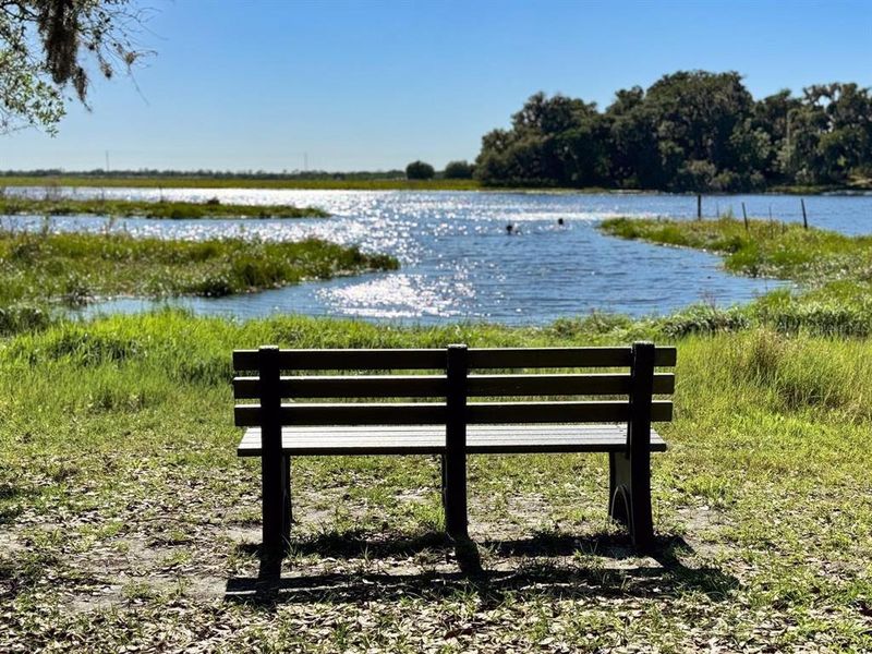 Natural landscape and outdoor views near in San Antonio (Image 65). Natural landscape and outdoor views near in San Antonio (Image 65).