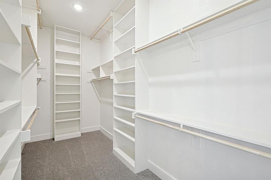 Walk in closet featuring carpet