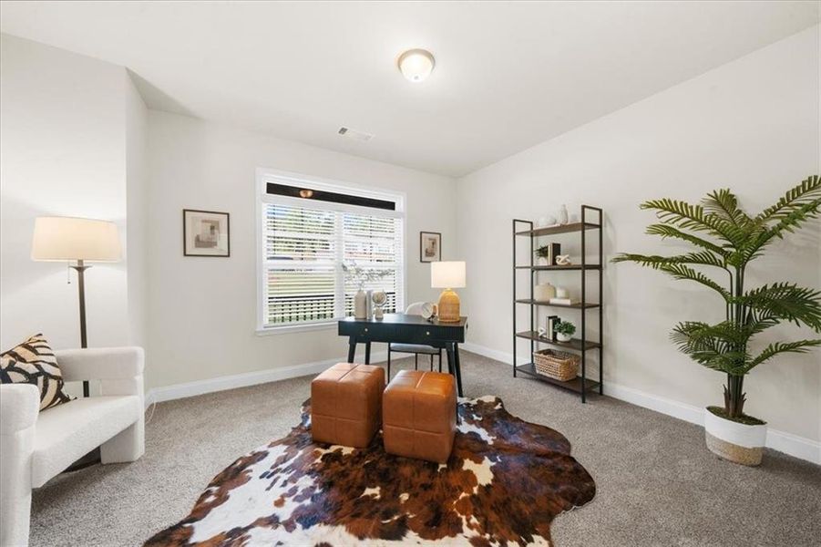 Furnished interior view inside a new home in River Rock, Ball Ground (Image 42). Furnished interior view inside a new home in River Rock, Ball Ground (Image 42).