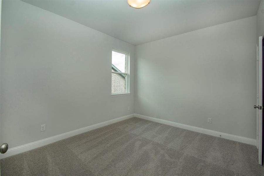 Carpeted empty room with baseboards Carpeted empty room with baseboards