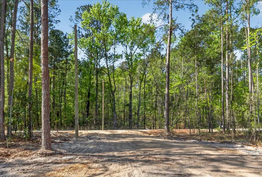 Natural landscape and outdoor views near in Walterboro (Image 36). Natural landscape and outdoor views near in Walterboro (Image 36).