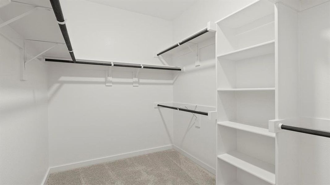 18. 1336 Burgess - Closet 18. 1336 Burgess - Closet