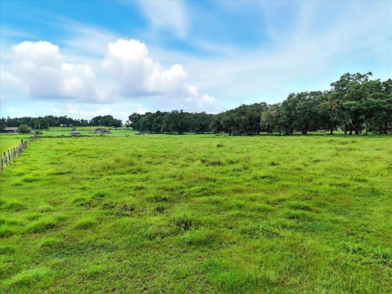 Natural landscape and outdoor views near  in Dade City (Image 11).