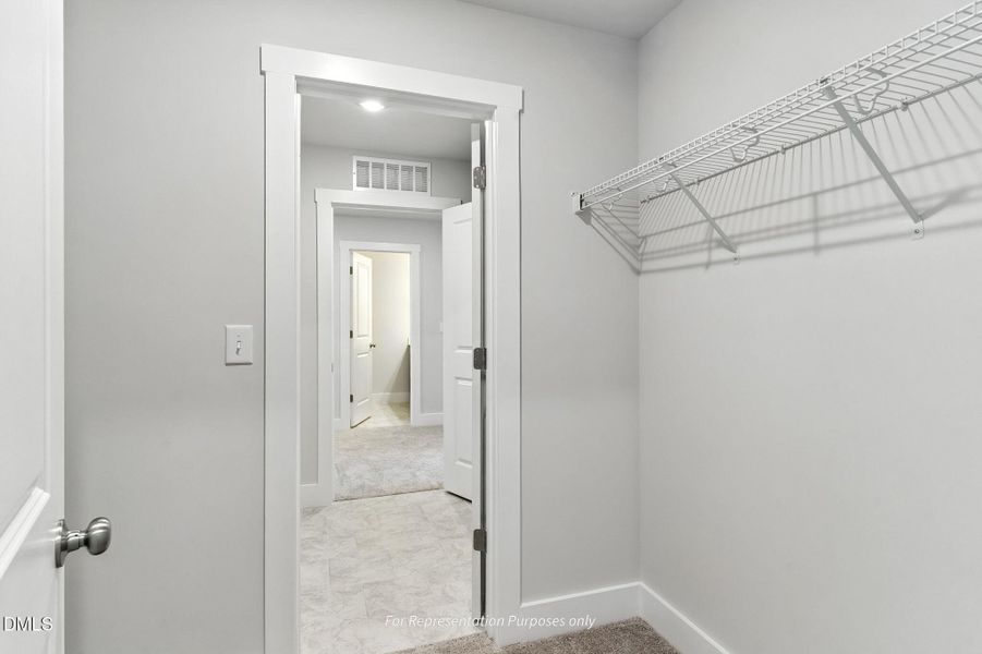 Holly Unurnished with gourmet and messy