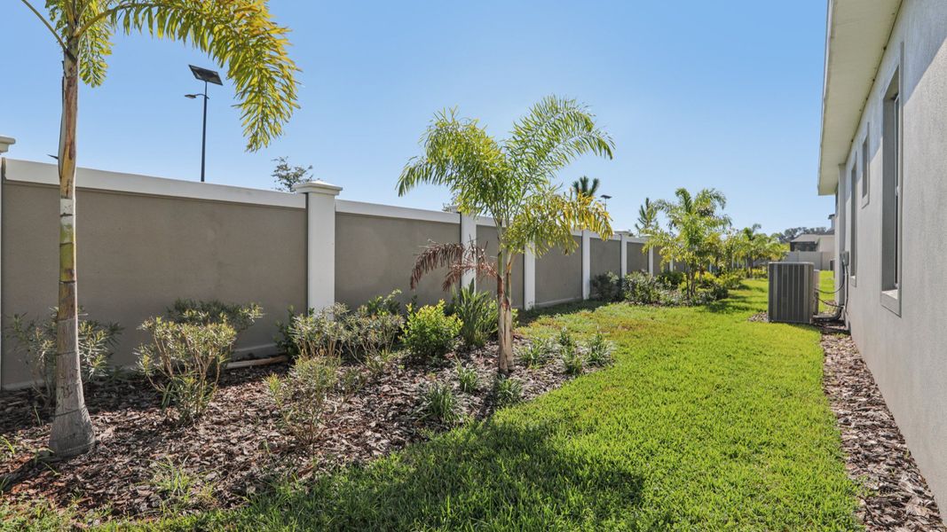 The Backyard The Backyard