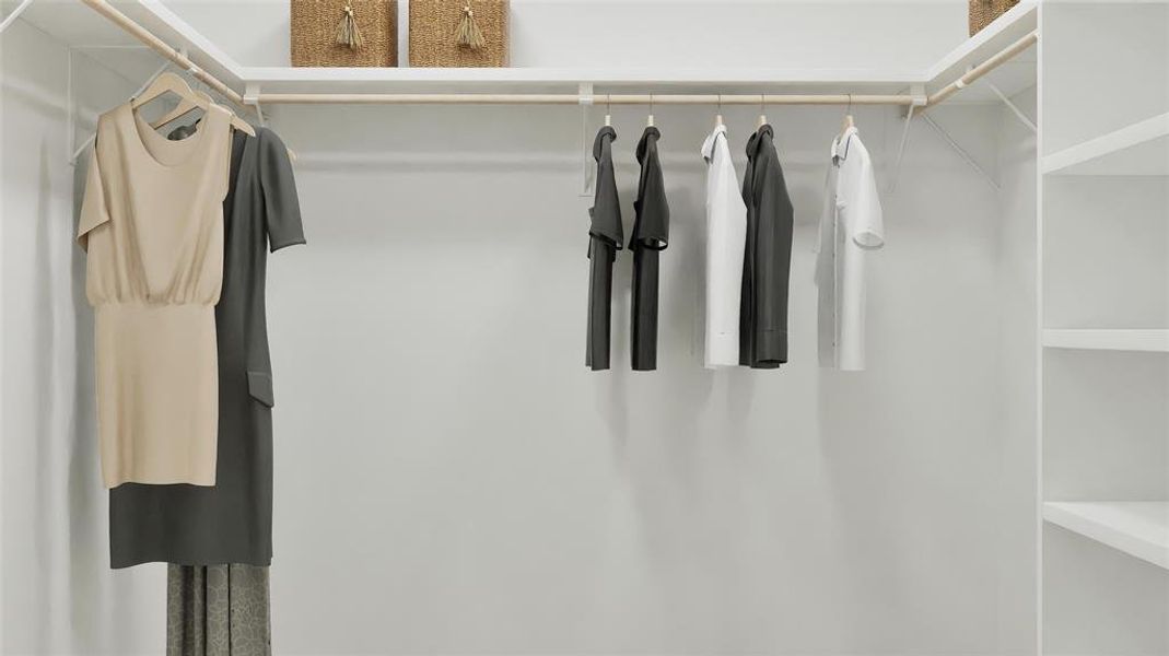 View of walk in closet View of walk in closet