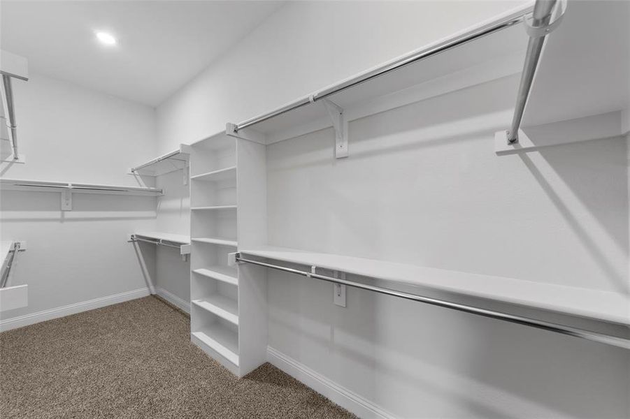 Spacious closet featuring carpet