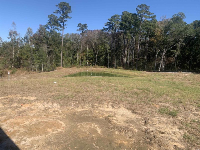 View of undeveloped land