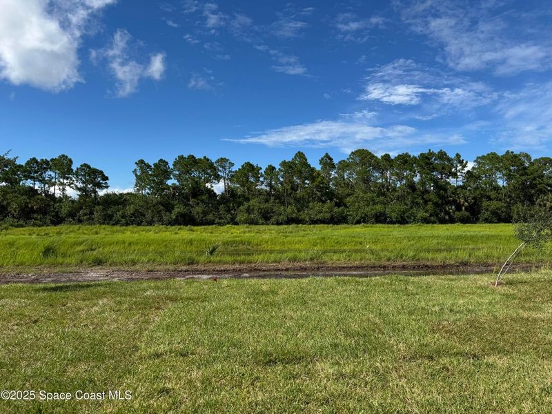 Natural landscape and outdoor views near St. John Preserve in Palm Bay (Image 19). Natural landscape and outdoor views near St. John Preserve in Palm Bay (Image 19).