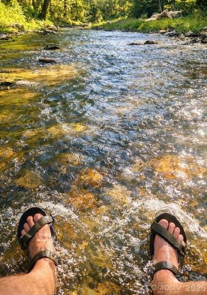 Image 24 of a home in .