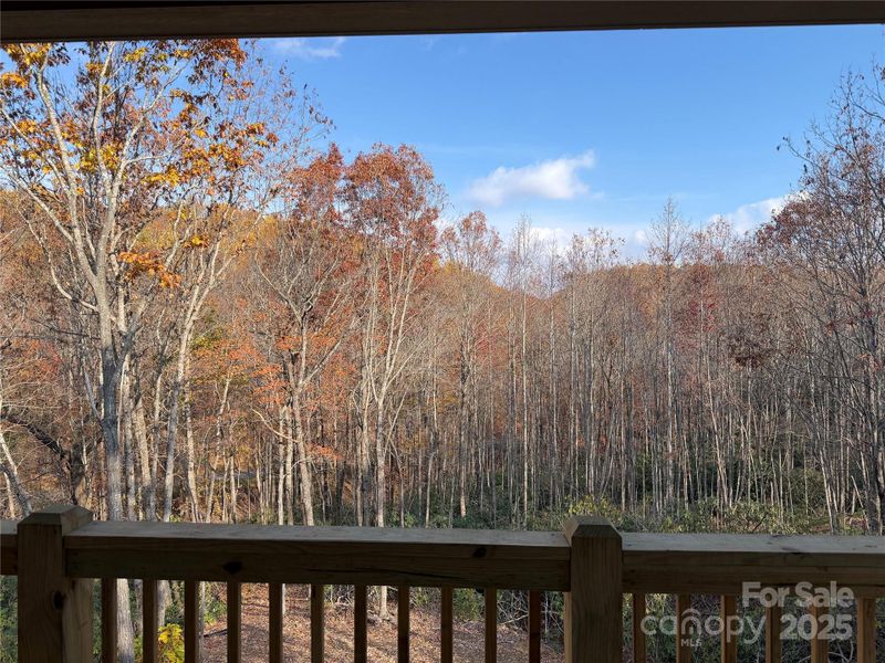Natural landscape and outdoor views near  in Black Mountain (Image 35).