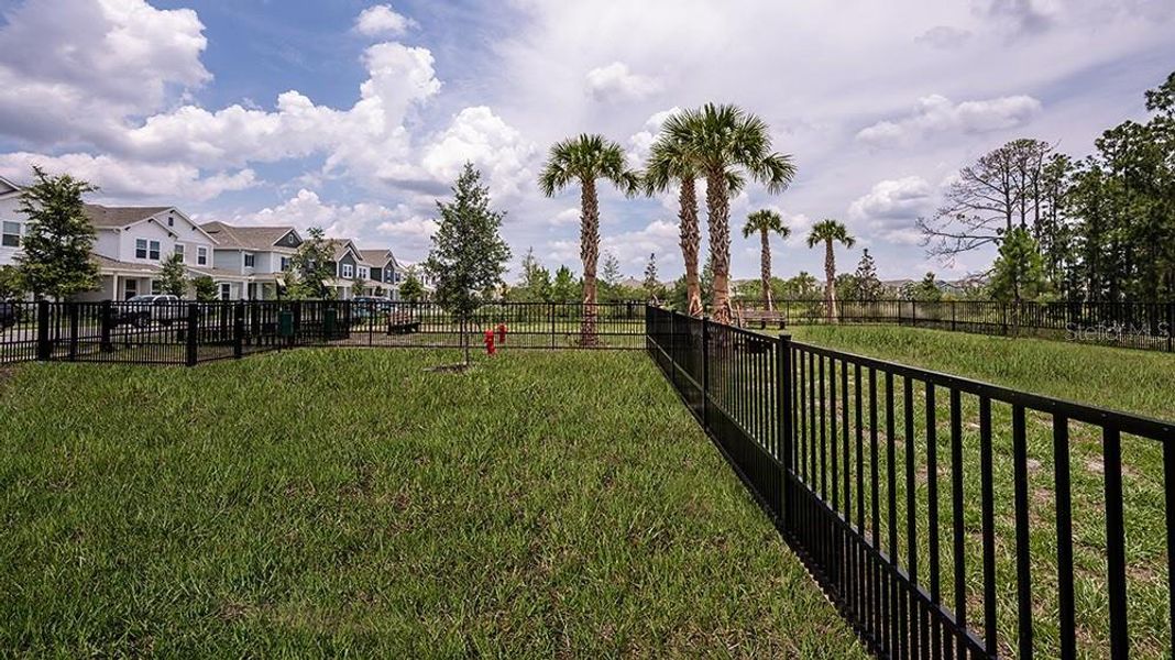 Community amenities in Harvest at Ovation, Winter Garden (Image 33).