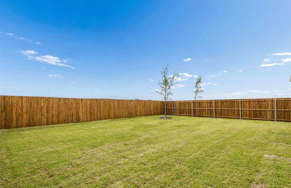 Large fenced in backyard