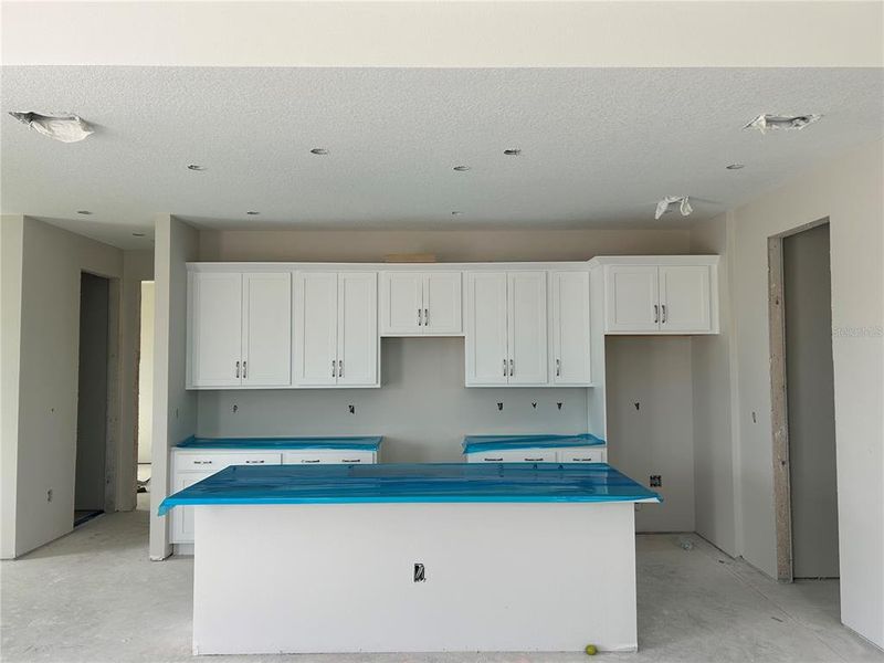 In-progress construction of a new home in Oakfield Trails Traditional, Parrish, FL (Image 31). In-progress construction of a new home in Oakfield Trails Traditional, Parrish, FL (Image 31).