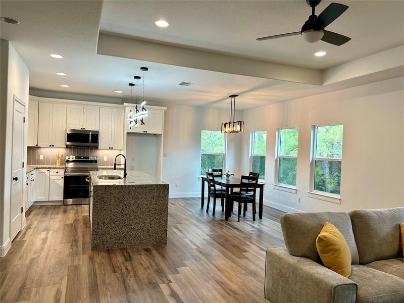 Tray ceiling in the living room. Tray ceiling in the living room.