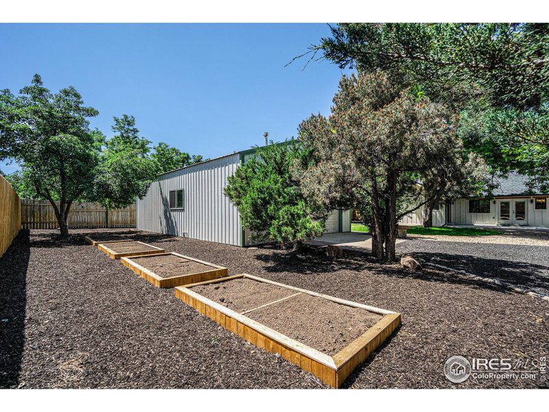 2 Apple Trees and Irrigated Raised Planter Boxes