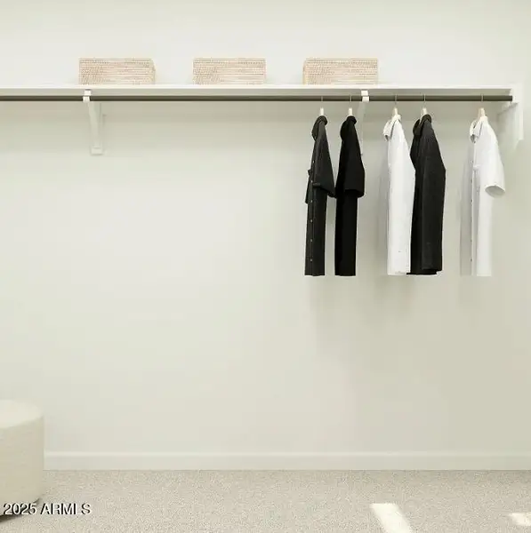 Owners Walk in Closet