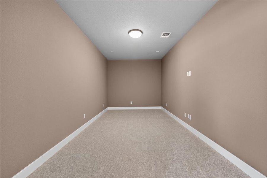 Entertainment Room
