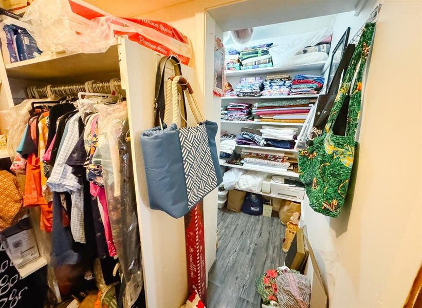 Spacious closet featuring dark wood-style flooring