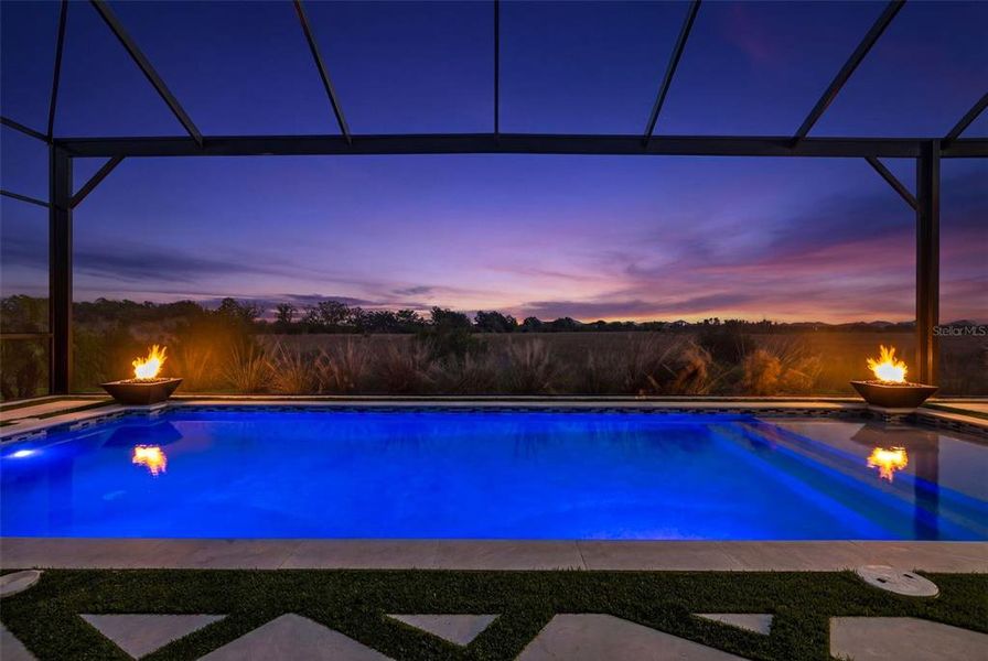 Exterior details and patio area of a home in Wild Blue at Waterside, Sarasota (Image 30).