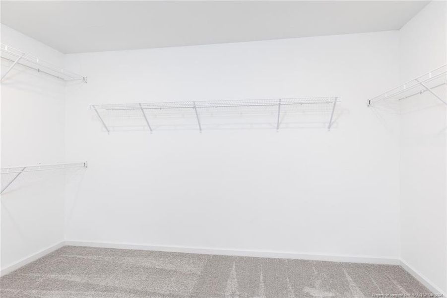 Representative Photo