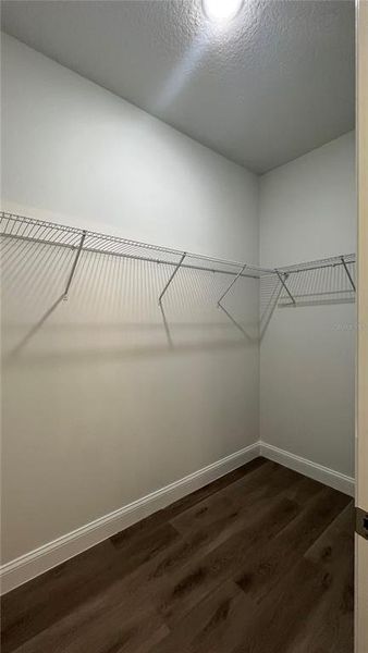 Walk in Closet Master.