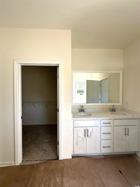 Full bathroom with a walk in closet, double vanity, and wood finished floors