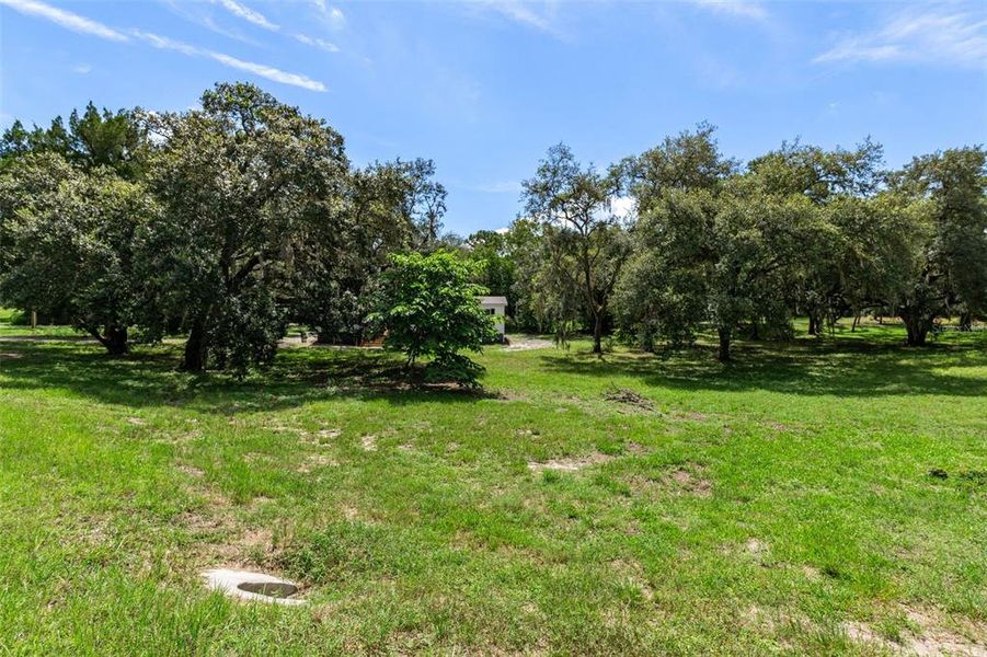Natural landscape and outdoor views near in Spring Hill (Image 33). Natural landscape and outdoor views near in Spring Hill (Image 33).