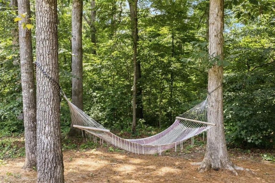 Natural landscape and outdoor views near in Ellijay (Image 61). Natural landscape and outdoor views near in Ellijay (Image 61).