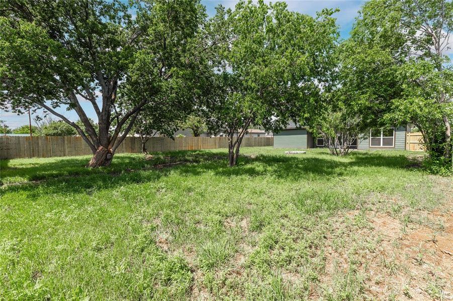 Natural landscape and outdoor views near  in Brownwood (Image 22).