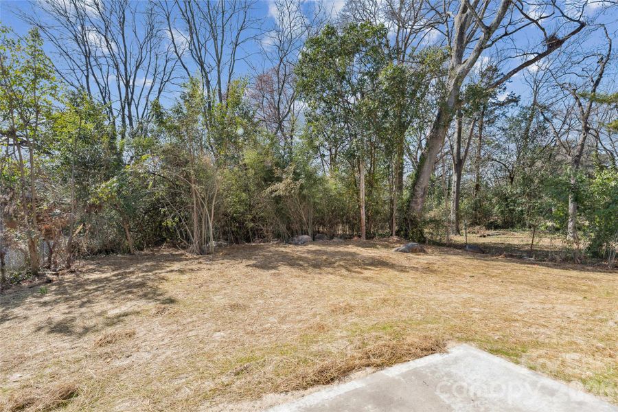 Natural landscape and outdoor views near  in Rock Hill (Image 23).