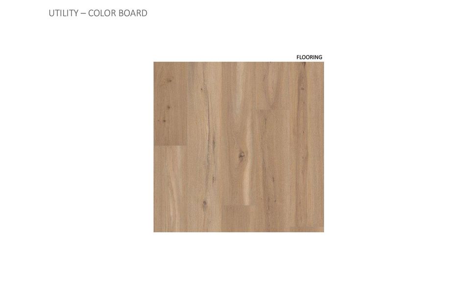 Image 16 of a home in Traditional Homes at Easton Park.