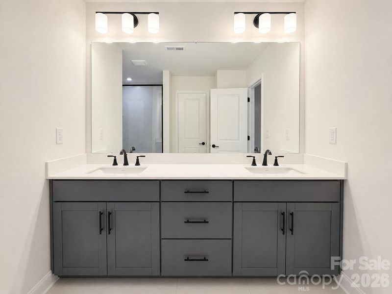 Primary Bath Vanity Primary Bath Vanity